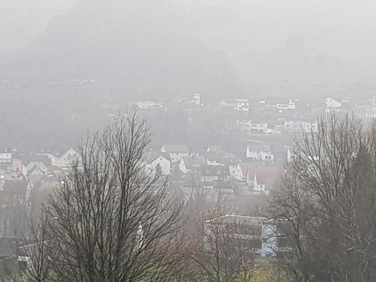 Ferienwohnung "Hagebutze" Mit Sauna Und Schwimmbad Bad Lauterberg Exteriér fotografie