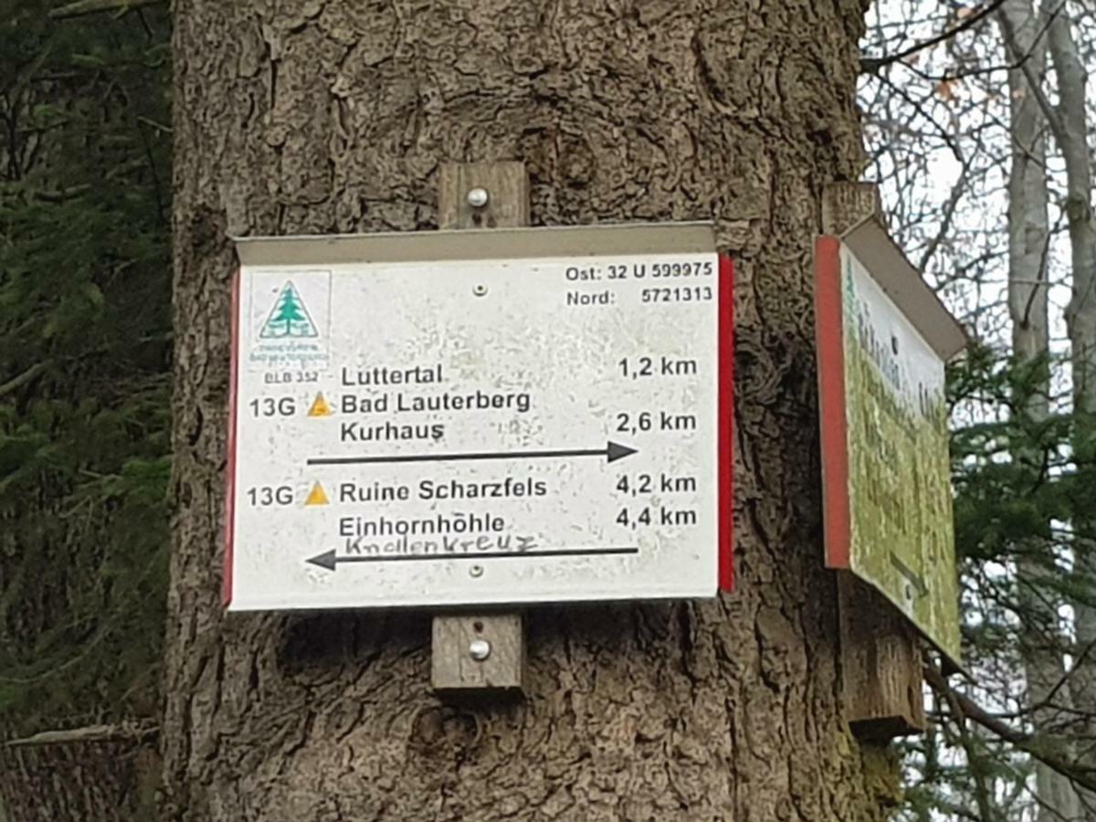 Ferienwohnung "Hagebutze" Mit Sauna Und Schwimmbad Bad Lauterberg Exteriér fotografie