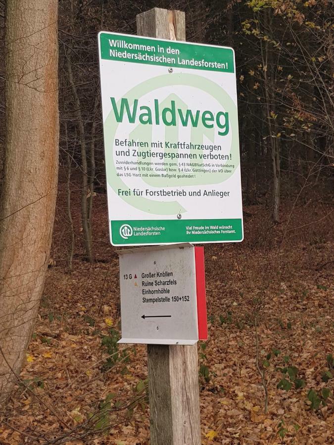 Ferienwohnung "Hagebutze" Mit Sauna Und Schwimmbad Bad Lauterberg Exteriér fotografie