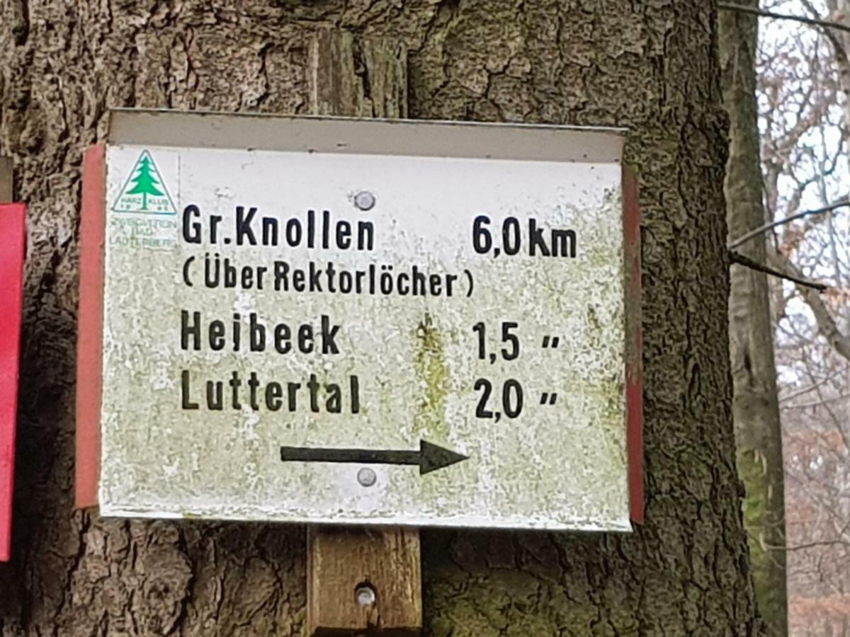 Ferienwohnung "Hagebutze" Mit Sauna Und Schwimmbad Bad Lauterberg Exteriér fotografie